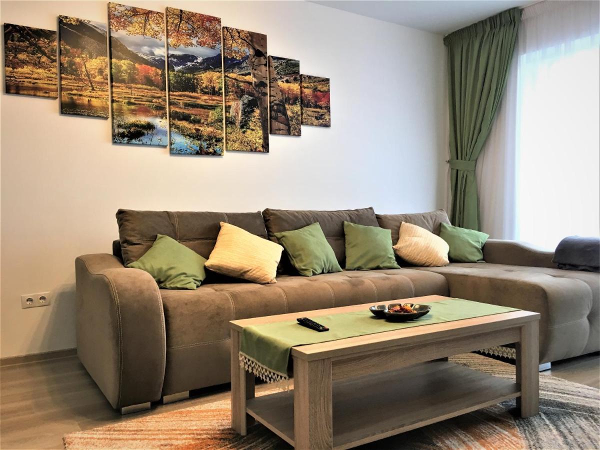 Appartamento Mountain View Escape Braşov Esterno foto