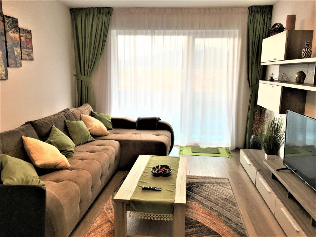 Appartamento Mountain View Escape Braşov Esterno foto