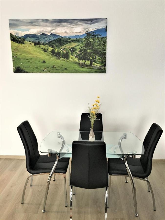Appartamento Mountain View Escape Braşov Esterno foto